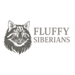 Siberian Kittens For Sale