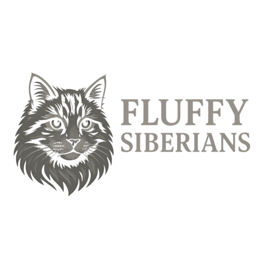 Siberian Kittens For Sale